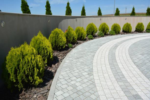 Best Residential Paver Driveway  in City View, SC